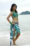 shraddha das hot bikini in mugguru telugu movie hero actress latest new hot photos stills images pics gallery