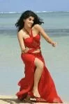 taapsee-new-4
