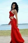 taapsee-new-6