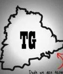 Telangana activists to enforce general strike, Telangana A serious edge, Telangana Dies non, Telangana Position of leverage, Telangana Resignations submitted
