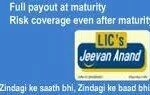 lic jeevan anand policy jeevan anand free quotes Benefits,features,details,information,guide,lic jeevananand review,premiums anyliz licjeevananand