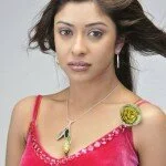 Telugu Actress Payal Ghosh Gallery, Payal Ghosh Latest Pics, Payal Ghosh Spicy Photos Payal Ghosh Hot Photo Gallery, Payal Ghosh Wallpapers