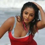 Telugu Actress Priyamani-Sexy-Pictures-from-the-Beach, Priyamani Hot Gallery, Priyamani Spicy Gallery, Priyamani Latest Photoshoot Gallery